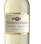 Fontana Candida Pinto G Bottle of Pinto Grigio WIne